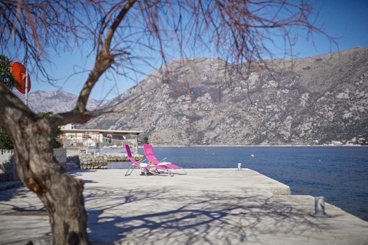 Apartments Pajovic Kotor Bagian luar foto